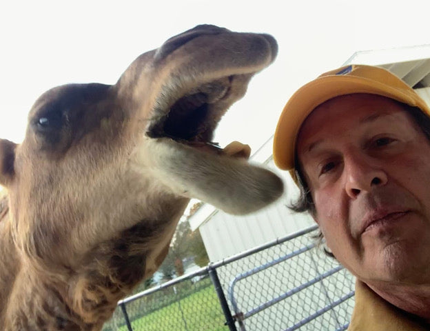 Humans Forget They Are Animals: A Conversation with Peter Tigler