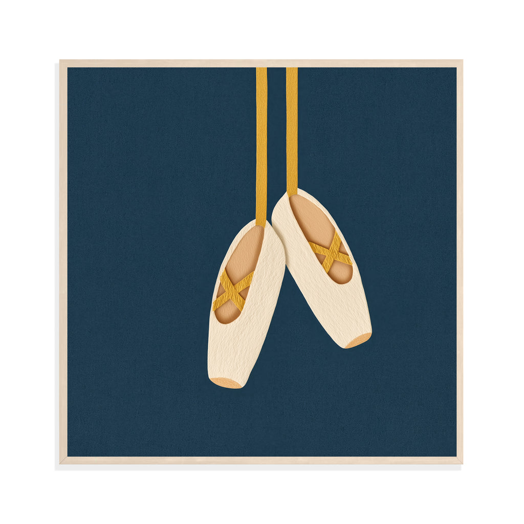 Ballet Pointe Shoes