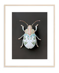 BEETLE 001 by Coco Holtz — Archival Pigment Print