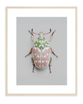 BEETLE 002 by Coco Holtz — Archival Pigment Print
