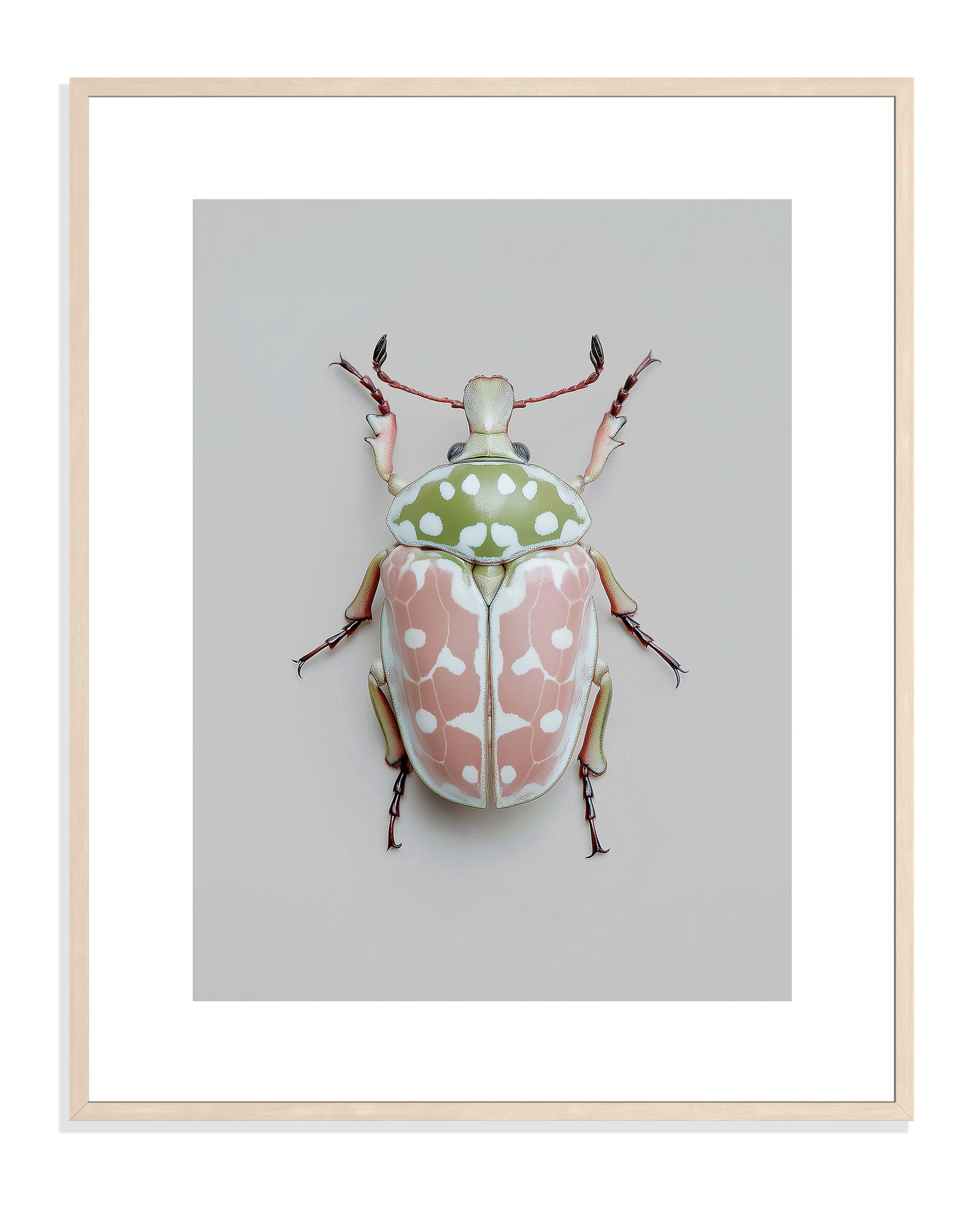 BEETLE 002 by Coco Holtz — Archival Pigment Print