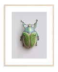 BEETLE 003 by Coco Holtz — Archival Pigment Print