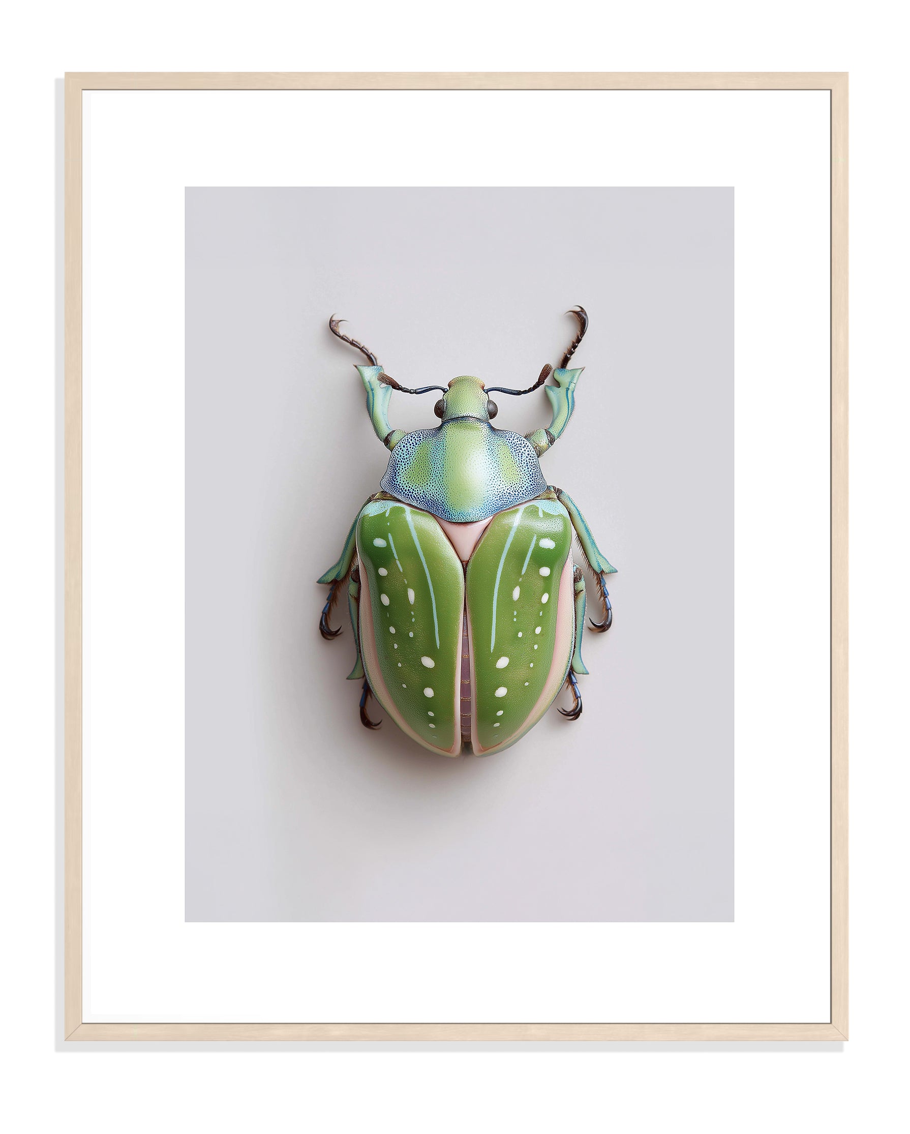 BEETLE 003 by Coco Holtz — Archival Pigment Print
