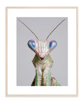 Praying Mantis 001 by Coco Holtz — Archival Print
