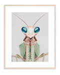 Praying Mantis 003 by Coco Holtz — Archival Print