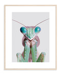 Praying Mantis 004 by Coco Holtz — Archival Print