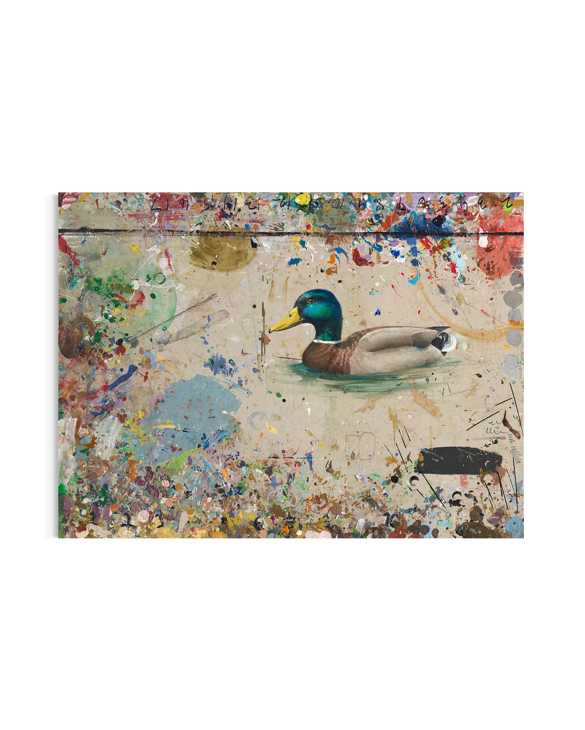 Duck - Original Painting