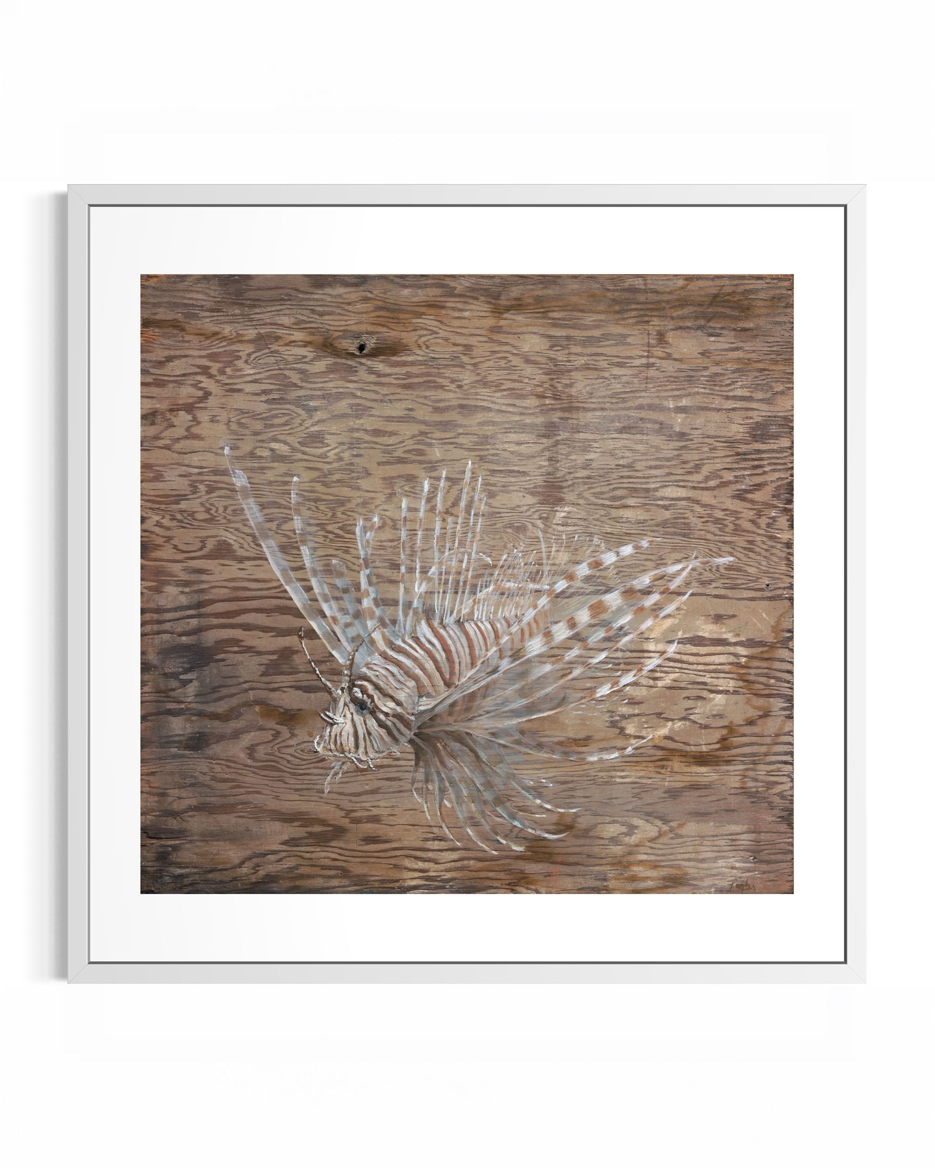 Lionfish