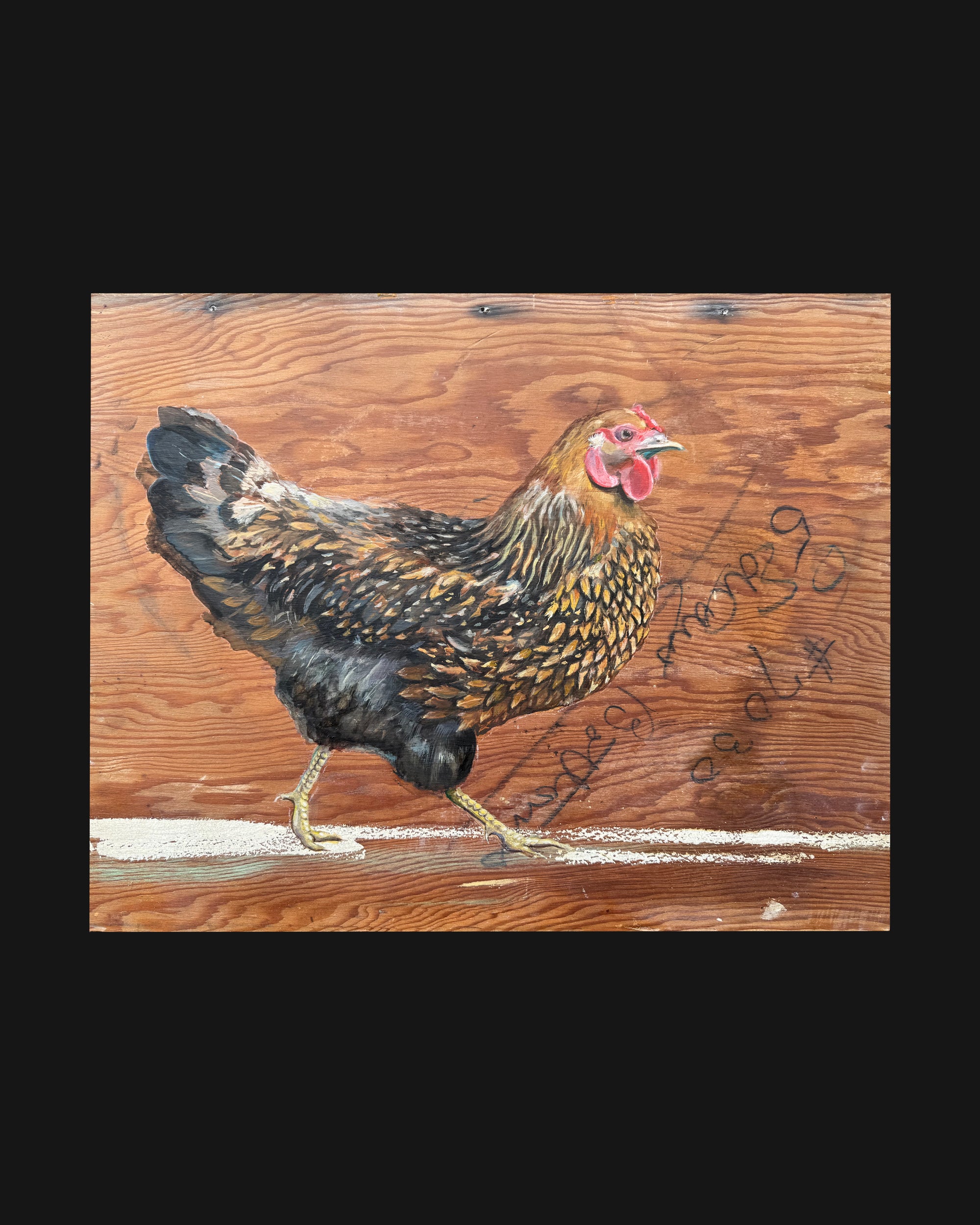Ameraucana Chicken by Peter Tigler — Original Painting
