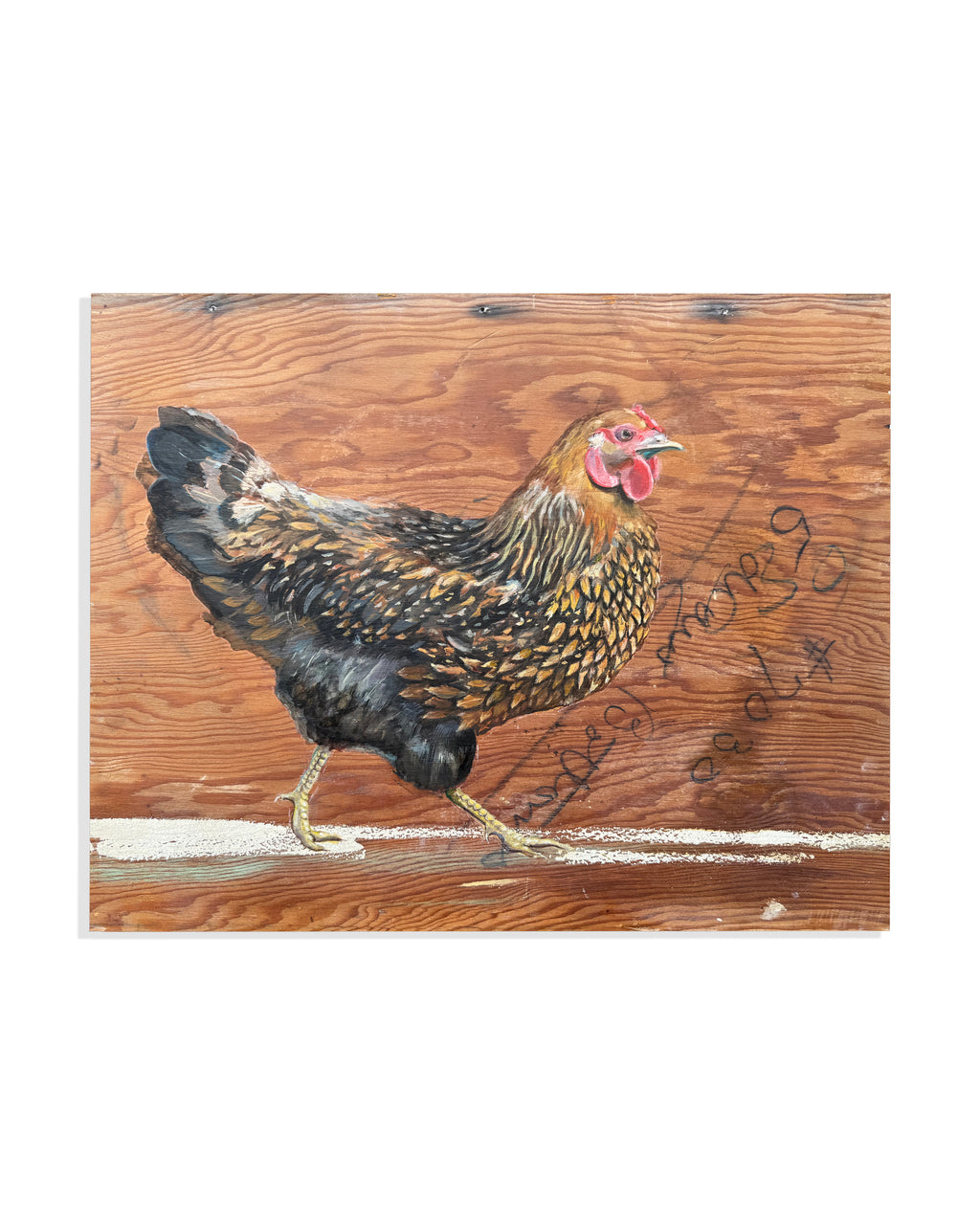 Ameraucana Chicken by Peter Tigler — Original Painting