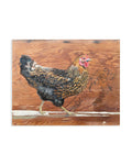 Ameraucana Chicken by Peter Tigler — Original Painting