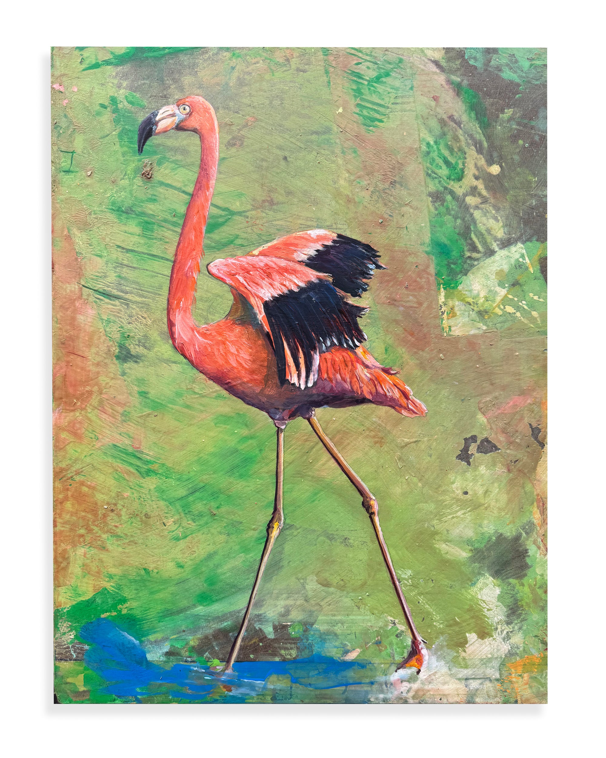 Flamingo — Original Painting by Peter Tigler