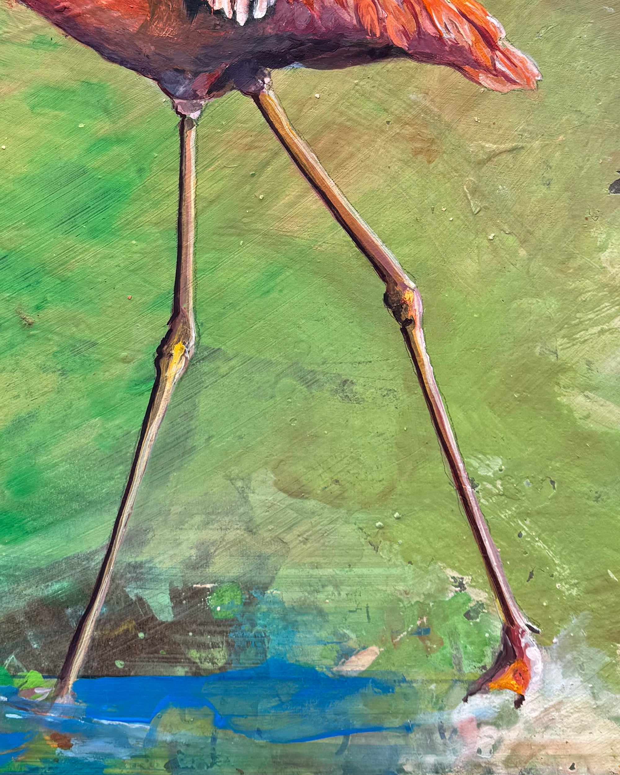 Flamingo — Original Painting by Peter Tigler