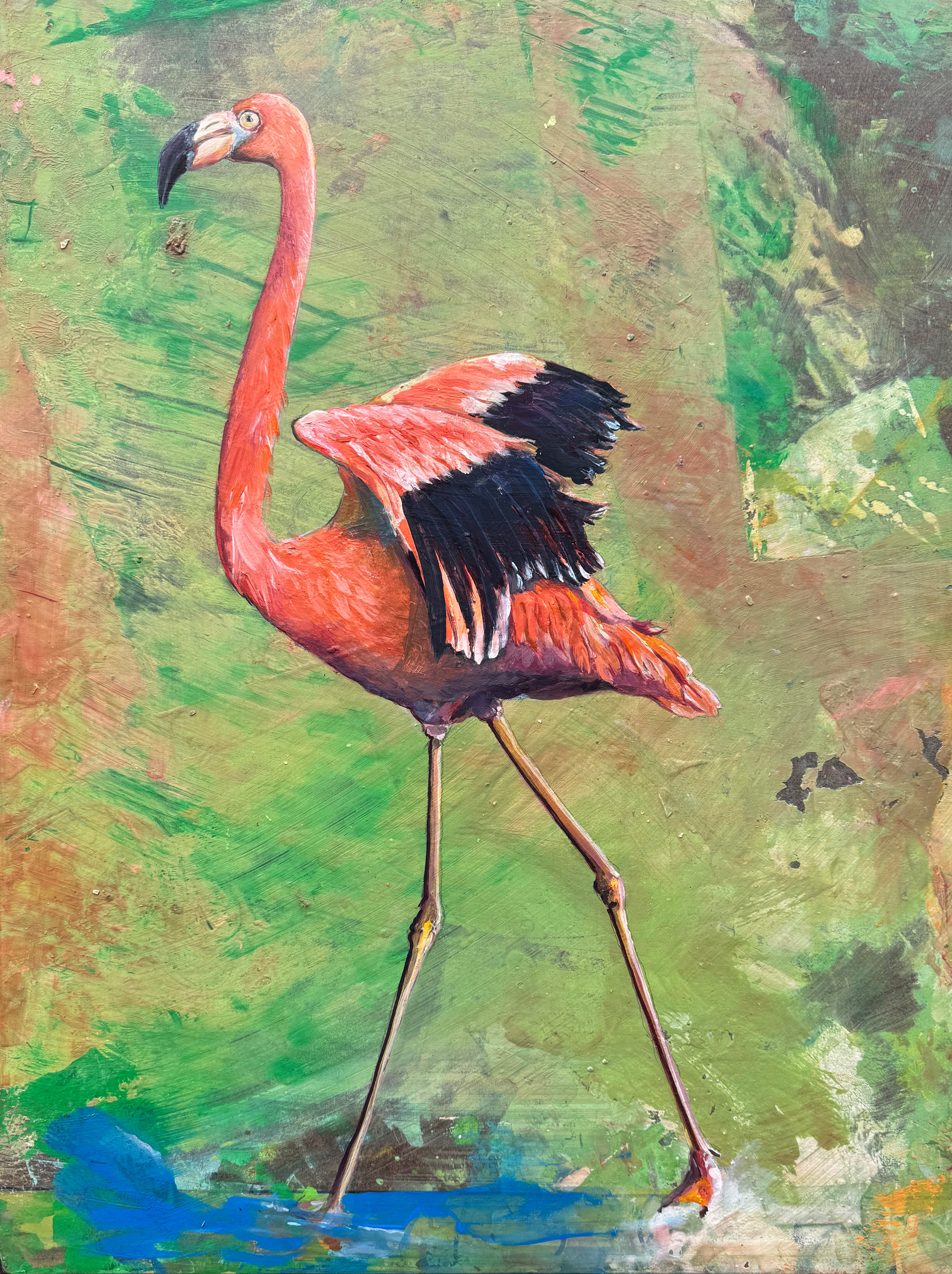 Flamingo — Original Painting by Peter Tigler