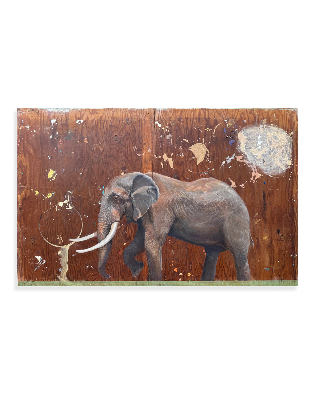 Elephant — Original Oil Painting by Peter Tigler