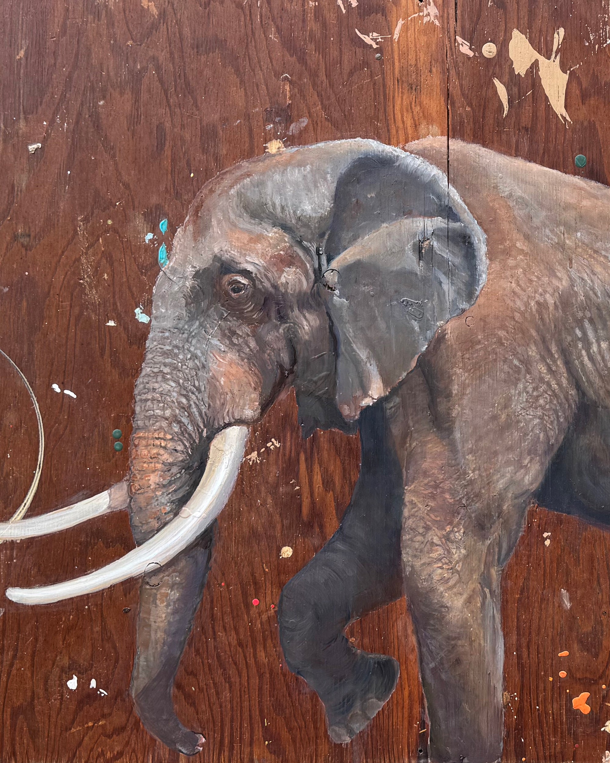 Elephant — Original Oil Painting by Peter Tigler