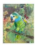 Parrot  — Original Painting by Peter Tigler