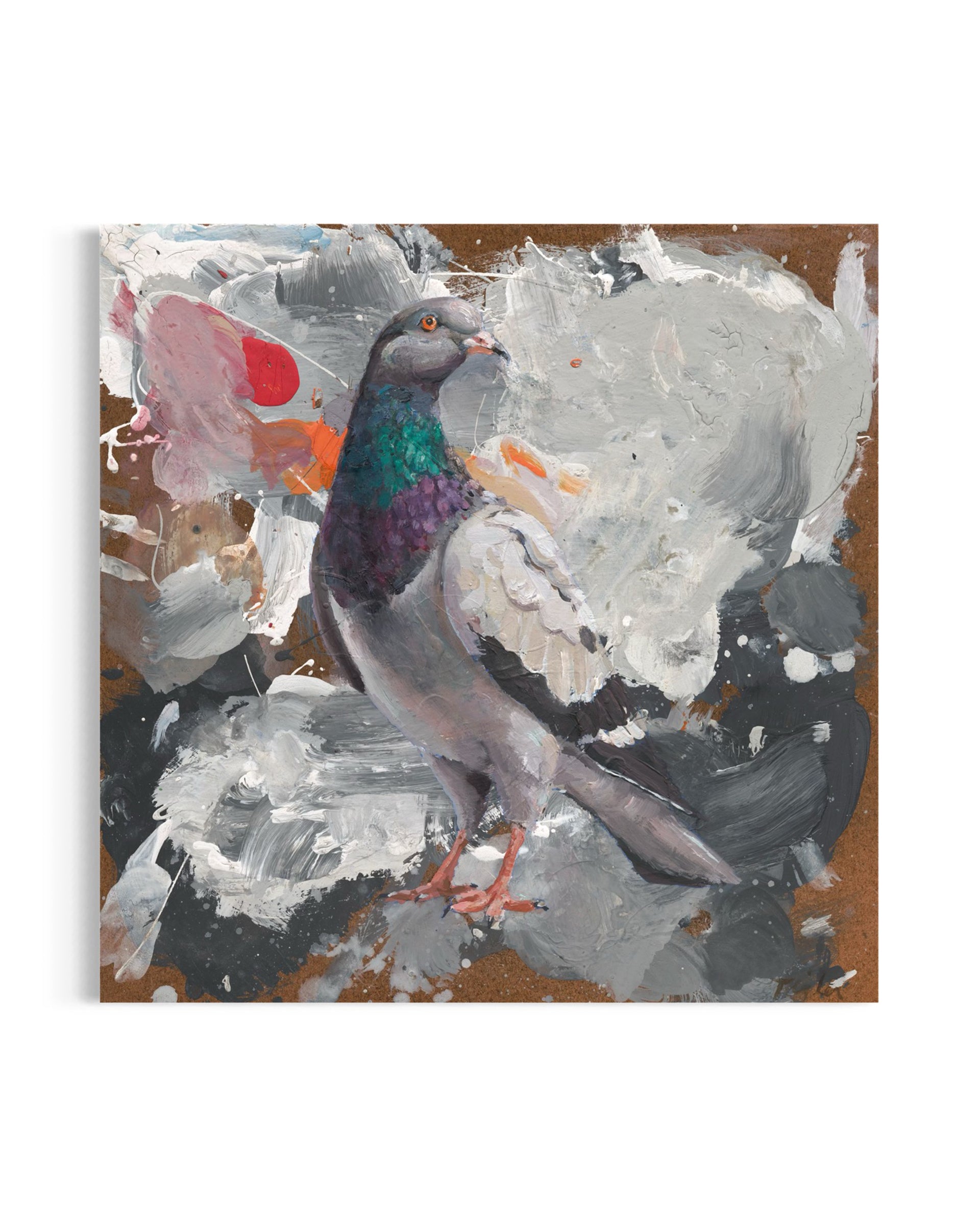 Pigeon - Original Painting