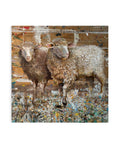 Sheep - Original Painting by Peter Tigler